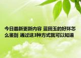 今日最新更新内容 蓝田玉的好坏怎么鉴别 通过这3种方式就可以知道