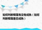 如何判断榴莲有没有成熟（如何判断榴莲是否成熟）