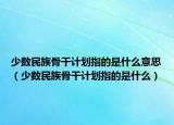 少数民族骨干计划指的是什么意思（少数民族骨干计划指的是什么）