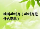 啥叫4k对齐（4k对齐是什么意思）