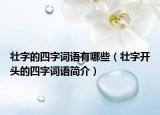 壮字的四字词语有哪些（壮字开头的四字词语简介）