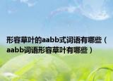 形容草叶的aabb式词语有哪些（aabb词语形容草叶有哪些）