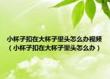 小杯子扣在大杯子里头怎么办视频（小杯子扣在大杯子里头怎么办）