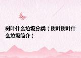 树叶什么垃圾分类（树叶树叶什么垃圾简介）