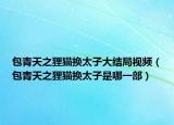 包青天之狸猫换太子大结局视频（包青天之狸猫换太子是哪一部）