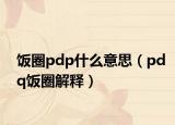 饭圈pdp什么意思（pdq饭圈解释）