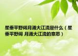 星垂平野阔月涌大江流是什么（星垂平野阔 月涌大江流的意思）