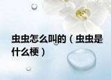 虫虫怎么叫的（虫虫是什么梗）