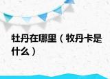 牡丹在哪里（牧丹卡是什么）