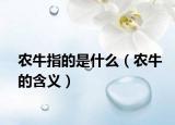 农牛指的是什么（农牛的含义）
