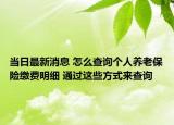 当日最新消息 怎么查询个人养老保险缴费明细 通过这些方式来查询