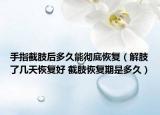 手指截肢后多久能彻底恢复（解肢了几天恢复好 截肢恢复期是多久）