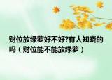 财位放绿萝好不好?有人知晓的吗（财位能不能放绿萝）
