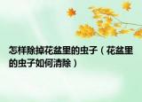 怎样除掉花盆里的虫子（花盆里的虫子如何清除）