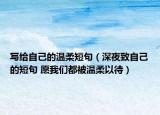 写给自己的温柔短句（深夜致自己的短句 愿我们都被温柔以待）
