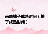 南康柚子成熟时间（柚子成熟时间）