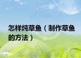 怎样炖草鱼（制作草鱼的方法）