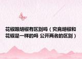 花椒跟胡椒有区别吗（究竟胡椒和花椒是一样的吗 公开两者的区别）