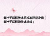 椰汁千层糕放冰箱冷冻还是冷藏（椰汁千层糕能放冰箱吗）