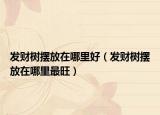 发财树摆放在哪里好（发财树摆放在哪里最旺）