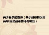 关于品茶的古诗（关于品茶的优美诗句 描述品茶的诗有哪些）