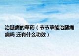 治腿痛的草药（节节草能治腿痛病吗 还有什么功效）