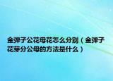 金弹子公花母花怎么分别（金弹子花芽分公母的方法是什么）