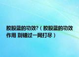 胶股蓝的功效?（胶股蓝的功效作用 别错过一网打尽）