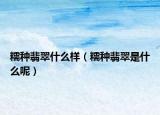 糯种翡翠什么样（糯种翡翠是什么呢）