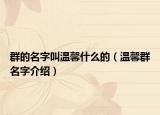 群的名字叫温馨什么的（温馨群名字介绍）