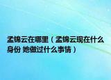 孟锦云在哪里（孟锦云现在什么身份 她做过什么事情）