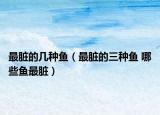 最脏的几种鱼（最脏的三种鱼 哪些鱼最脏）