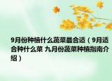 9月份种植什么蔬菜最合适（9月适合种什么菜 九月份蔬菜种植指南介绍）