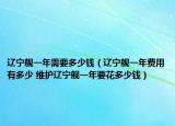 辽宁舰一年需要多少钱（辽宁舰一年费用有多少 维护辽宁舰一年要花多少钱）