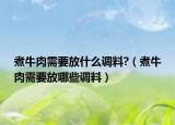 煮牛肉需要放什么调料?（煮牛肉需要放哪些调料）