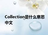 Collection是什么意思中文