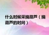 什么时候采摘葫芦（摘葫芦的时间）