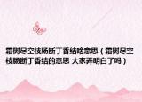霜树尽空枝肠断丁香结啥意思（霜树尽空枝肠断丁香结的意思 大家弄明白了吗）