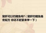 猪肝可以钓鲤鱼吗?（猪肝钓鲤鱼绝密配方 你还不赶紧来学一下）