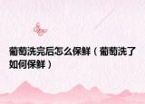 葡萄洗完后怎么保鲜（葡萄洗了如何保鲜）