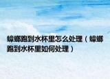 蟑螂跑到水杯里怎么处理（蟑螂跑到水杯里如何处理）
