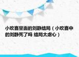 小欢喜里面的刘静结局（小欢喜中的刘静死了吗 结局太虐心）