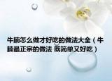 牛腩怎么做才好吃的做法大全（牛腩最正宗的做法 既简单又好吃）