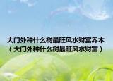大门外种什么树最旺风水财富乔木（大门外种什么树最旺风水财富）