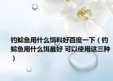钓鲶鱼用什么饵料好百度一下（钓鲶鱼用什么饵最好 可以使用这三种）
