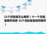 11个月宝宝怎么喂养（十一个月宝宝喂养安排 11个月的宝宝如何喂养）
