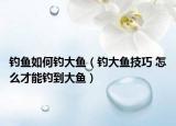 钓鱼如何钓大鱼（钓大鱼技巧 怎么才能钓到大鱼）