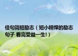 佳句简短励志（短小精悍的励志句子 看完受益一生!）