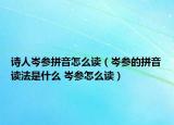 诗人岑参拼音怎么读（岑参的拼音读法是什么 岑参怎么读）