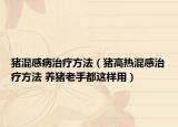猪混感病治疗方法（猪高热混感治疗方法 养猪老手都这样用）
